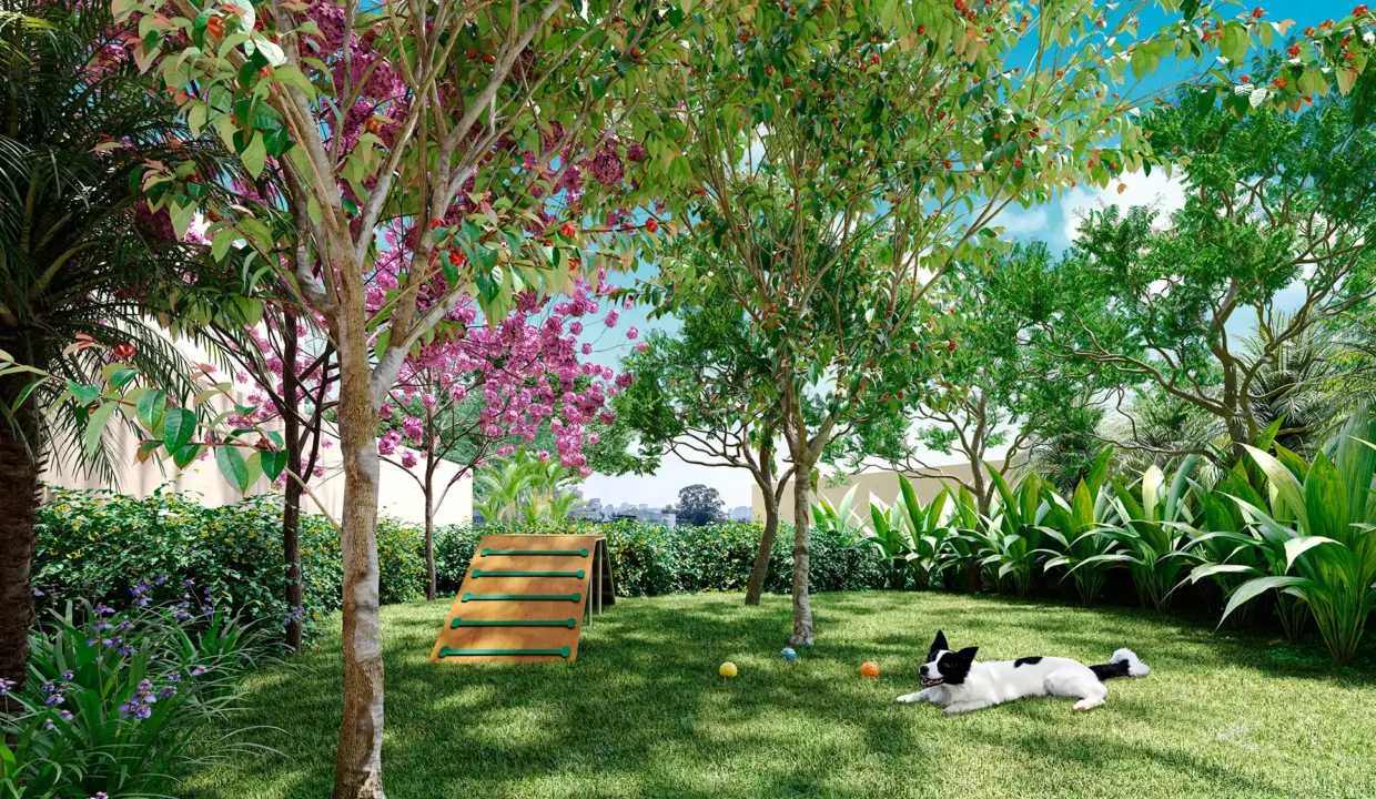YHP-IMG-0021-APTOS-PETPLACE-R00.jpg